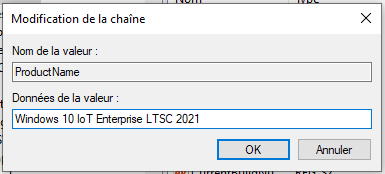 Passer de Windows 10 édition Professionnel ou Famille à l'édition IoT Enterprise LTSC 2021 sans perte de données : C'est possible !